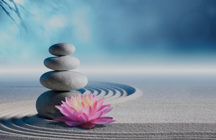 Balanced smooth stones and a lotus flower on raked sand